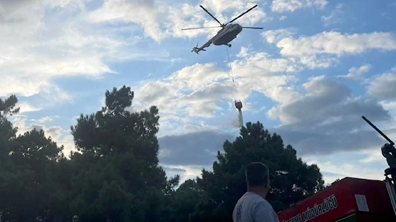 Ümraniye'deki Ormanlık Alanda Yangın Çıktı