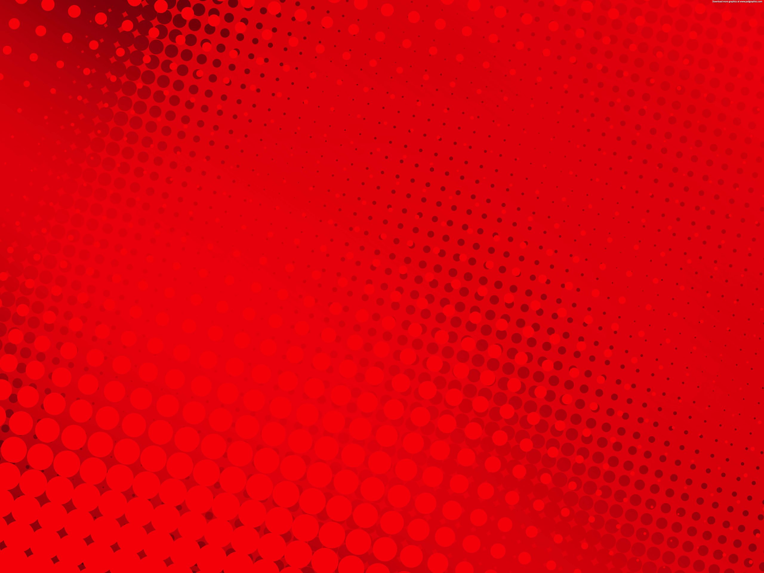 9 kaçak göçmen yakalandı, 1 organizatör tutuklandı