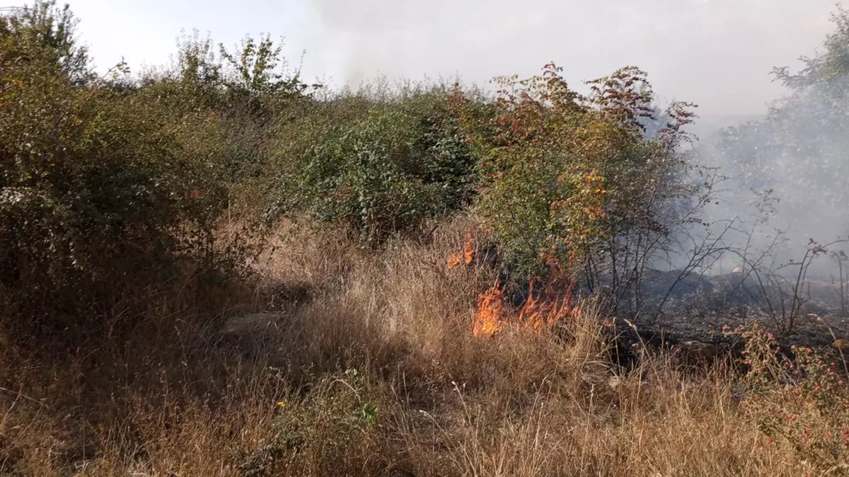 Lalapaşa'daki Makilik Alanda Korkutan Yangın