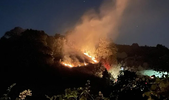 Tarlada Anız Yangını Çıktı