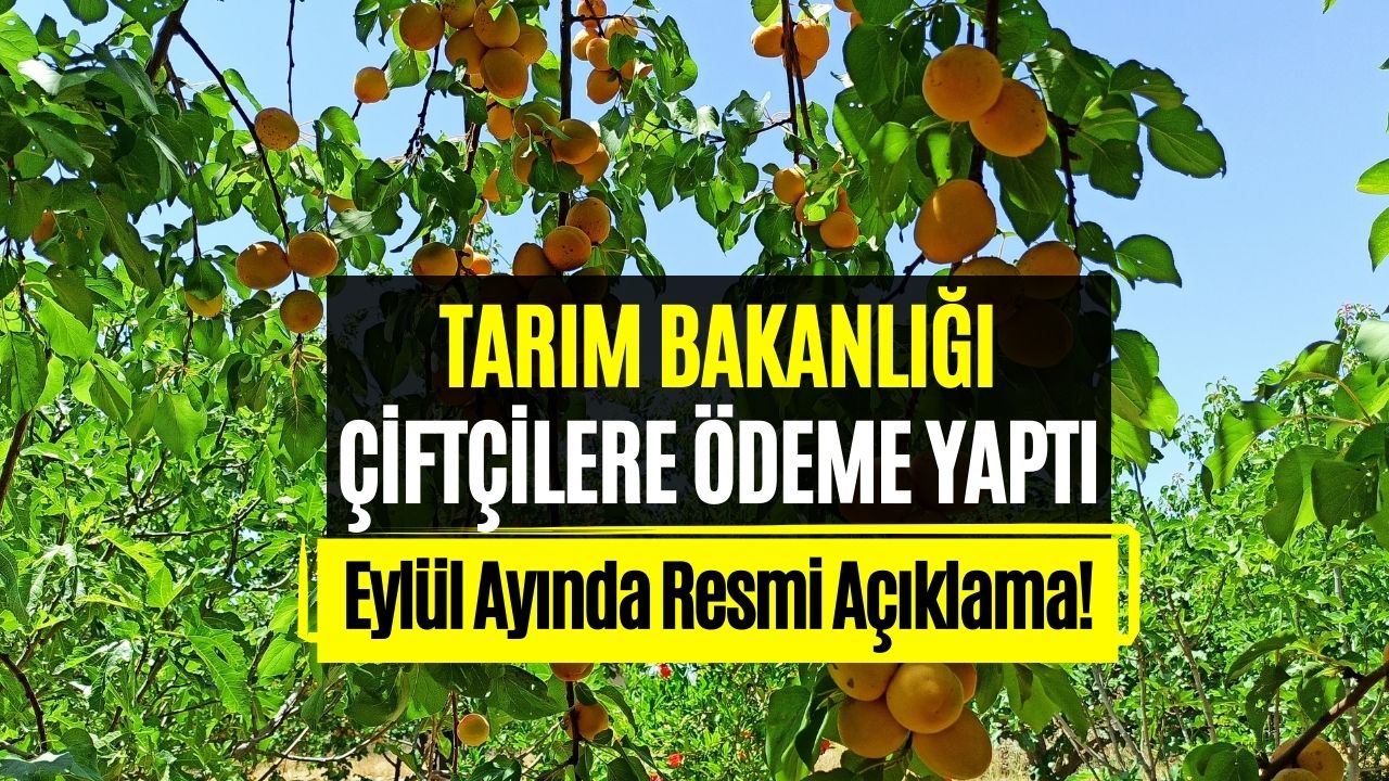 Çiftçilerin Hesaplarına Hasar Ödemesi Yatacak! Tarım ve Orman Bakanlığı Duyurdu