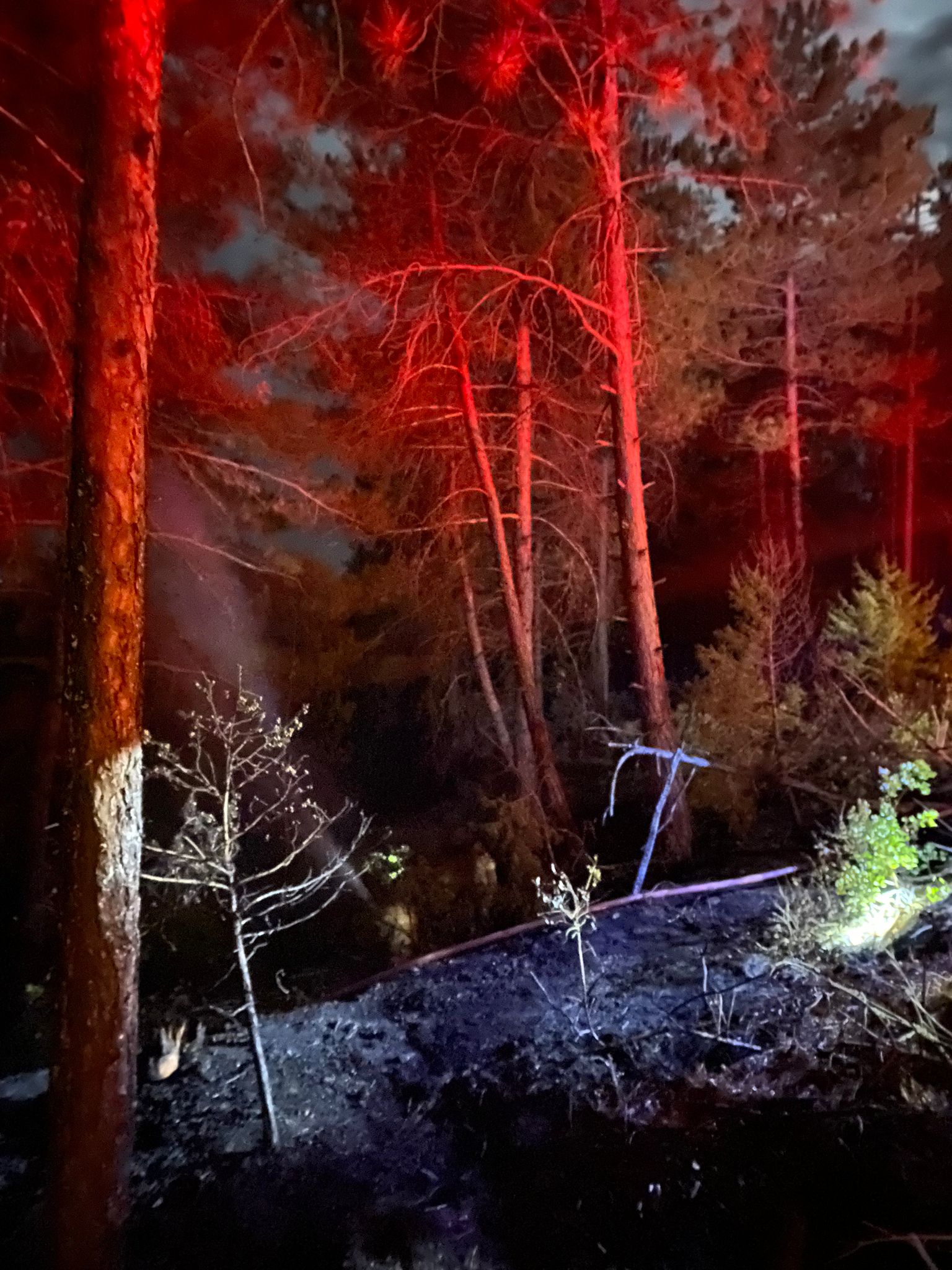 Yıldırım Düşmesi Sonucu Çıkan Orman Yangını Söndürüldü