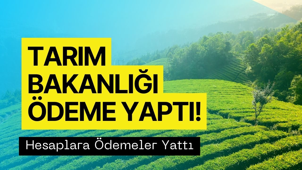 Çiftçiler Bu Müjdeye Çok Sevinecek! Rekor Destek Ödemesi Hesaplara Aktarılacak