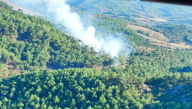 Çanakkale'deki Orman Yangını Kontrol Altına Alındı