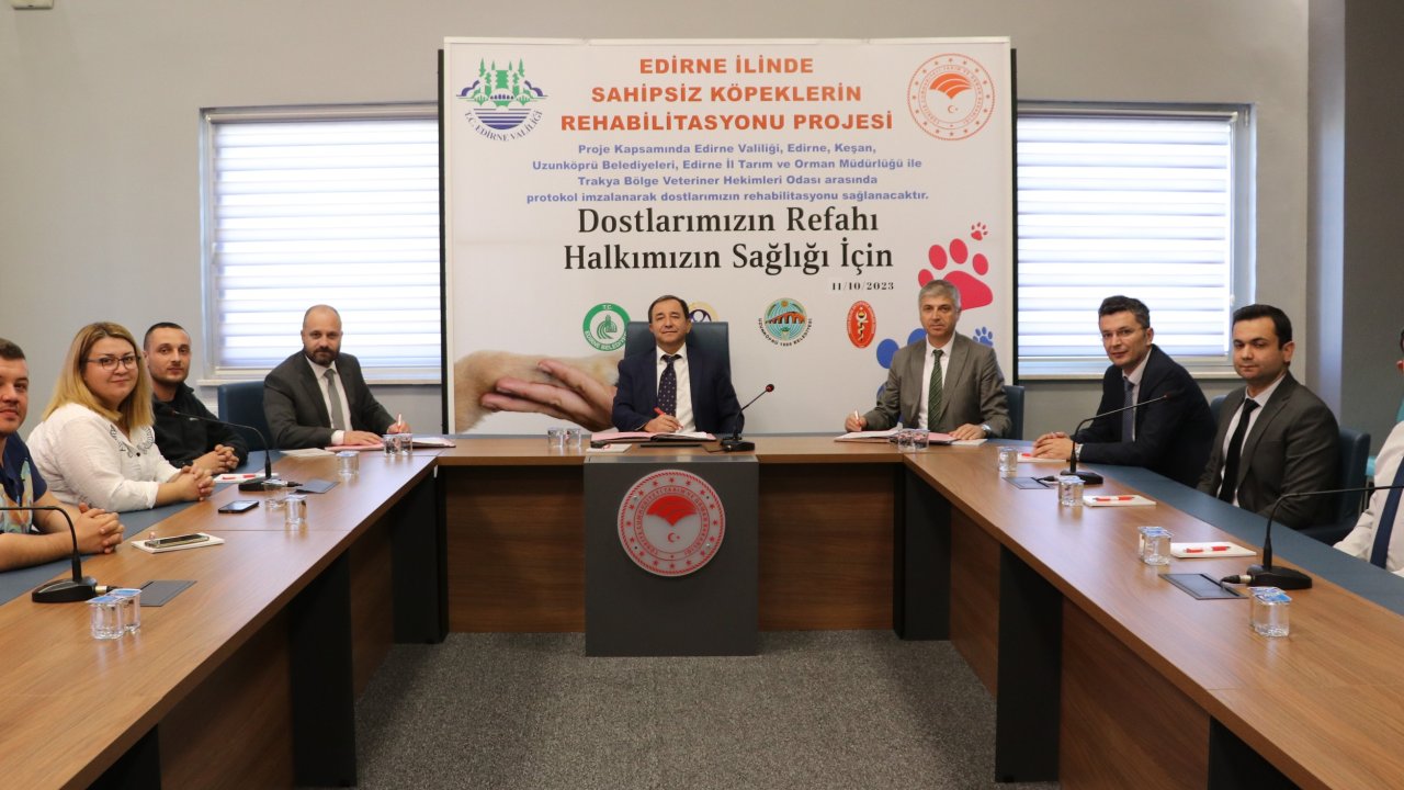 Edirne'de Sahipsiz Köpeklerin Rehabilitasyonu Projesi Uygulanacak