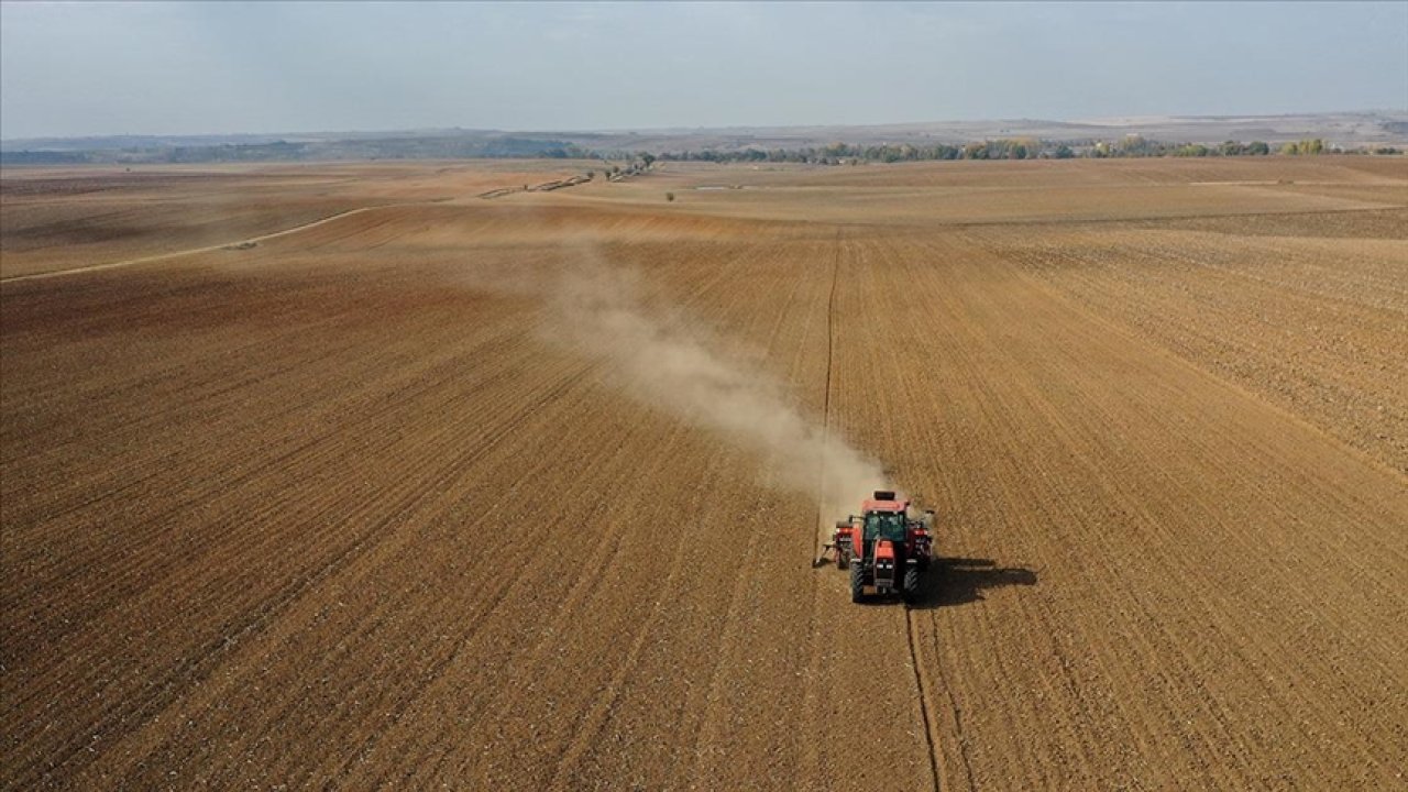 Edirne'de Çiftçiler Buğday Tohumlarını Kuru Toprağa Ekiyor