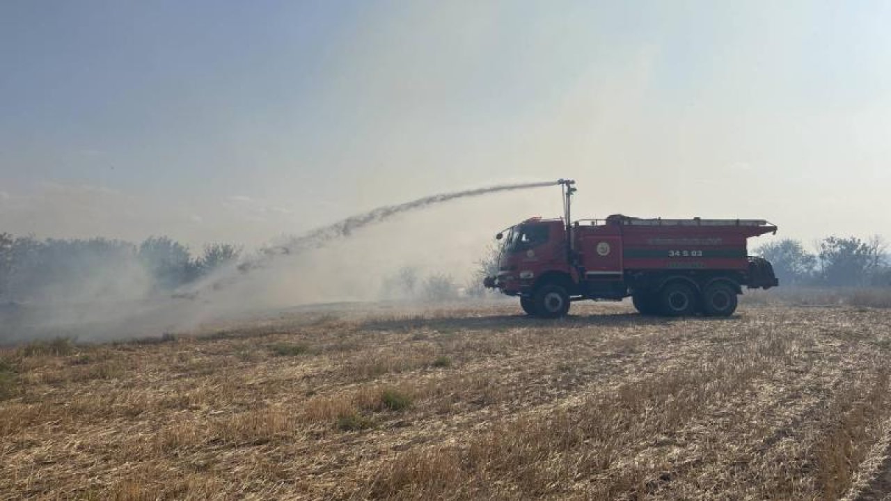 Edirne'de Korkutan Anız Yangını