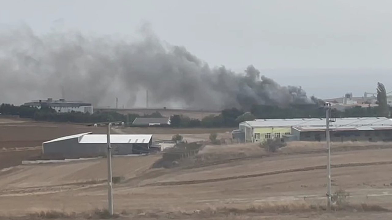 Tekirdağ'da Un Fabrikasında Korkutan Yangın