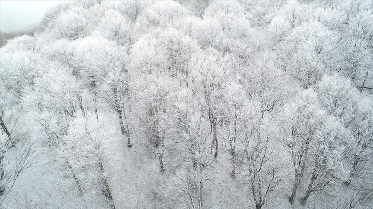 Kırklareli'nde Kar Yağışı Aralıklarla Devam Ediyor