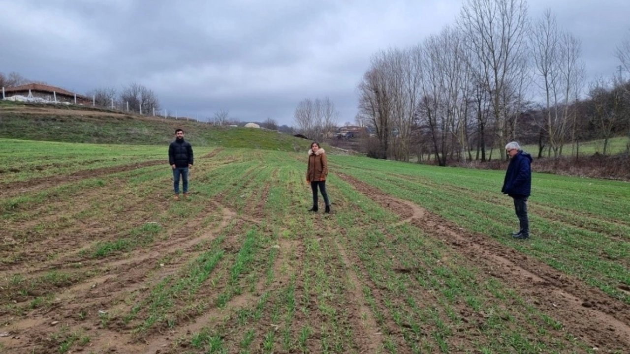 Kırklareli'nde Yerli Buğday Tohumları Toprakla Buluşturuldu