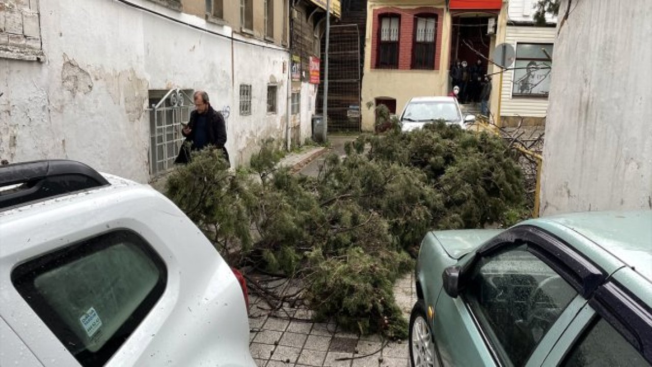 Tekirdağ'da Ağaç Devrildi: 3 Otomobil Zarar Gördü