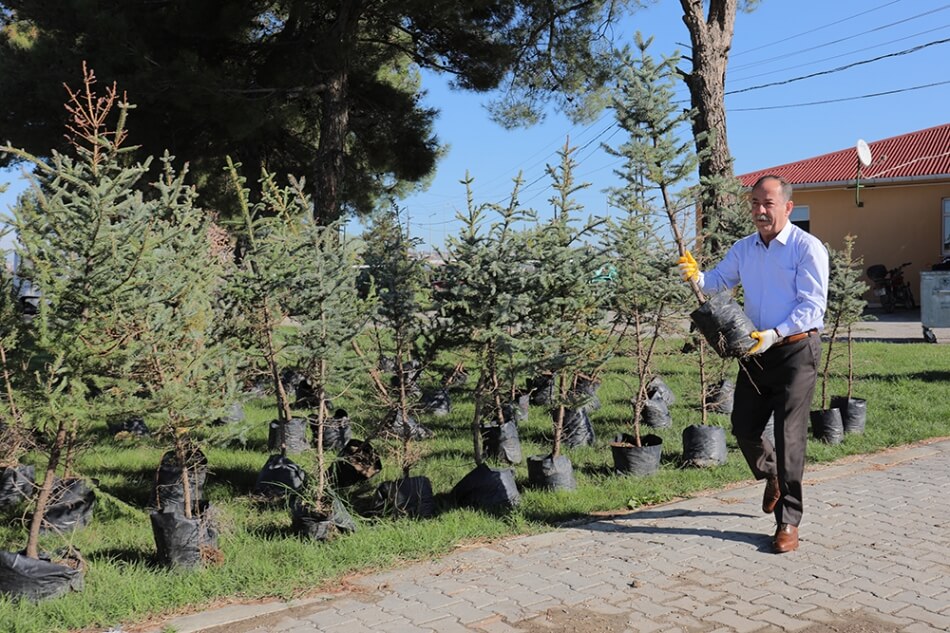 Edirne'den Hatay'a bin adet fidan