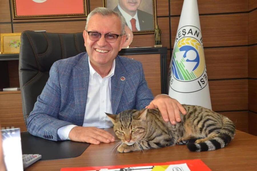 Belediye makam kedisine isim arıyor