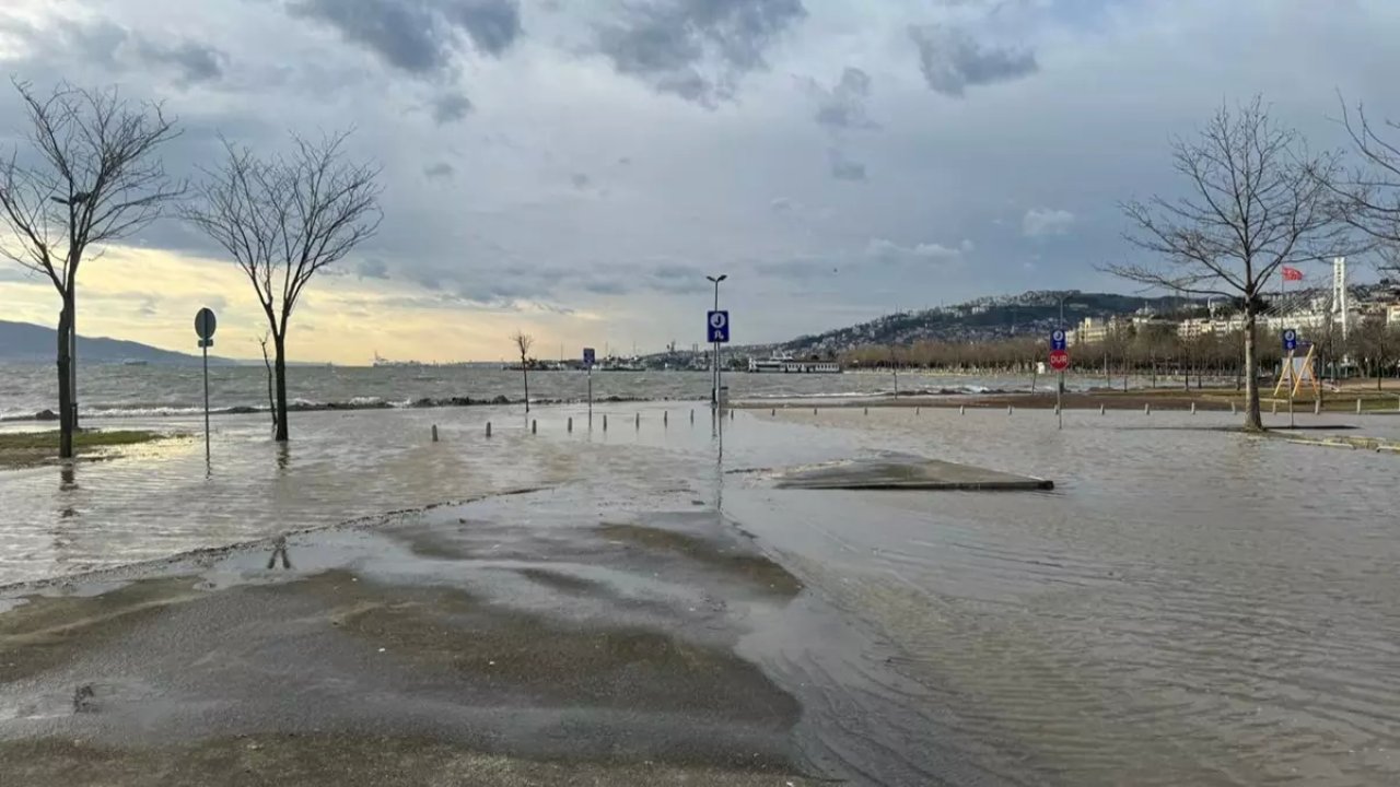 Fırtına Denizi Taşırdı, Otomobillerin Üzerine Ağaç Devrildi