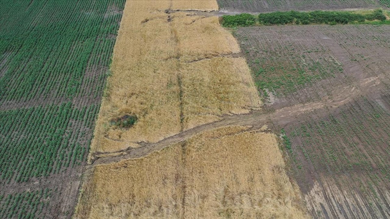 Edirne'de Orman Alanlarına Su Tankeri Dağıtıldı