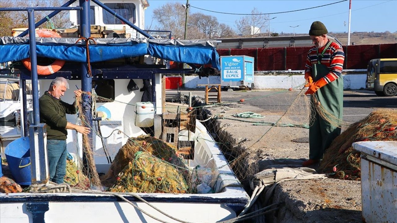 Tekirdağ'da Balıkçı Tezgahlarında En Çok İstavrit İlgi Görüyor