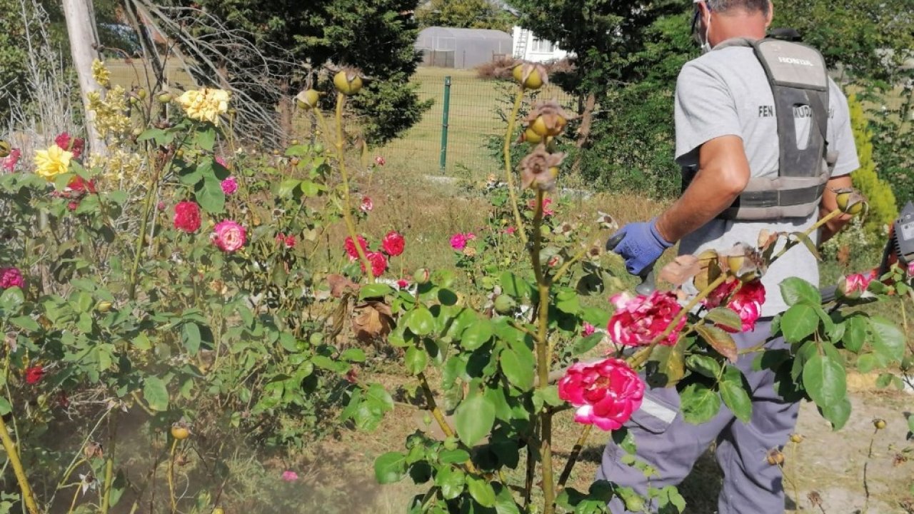 Tekirdağ'da Park ve Bahçelerde Çalışılıyor