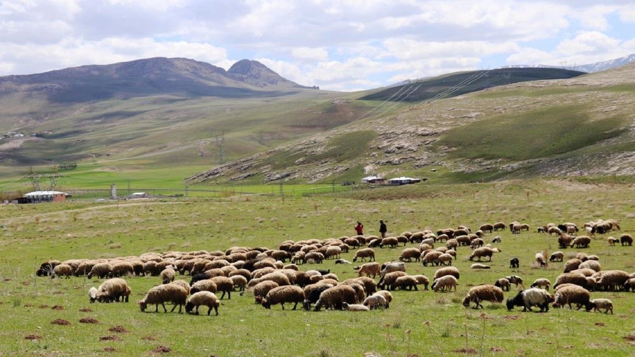 Kırklareli'nde Köyümde Yaşamak İçin Bir Sürü Nedenim Var Projesi Sürüyor