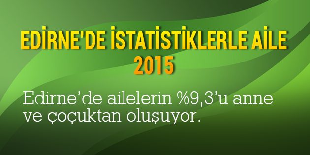 Edirne'de İstatistiklerle Aile (2015)