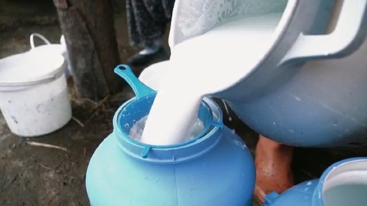 Kırklareli'nde Süt Üretimi 5 Yılda İki Katına Çıktı