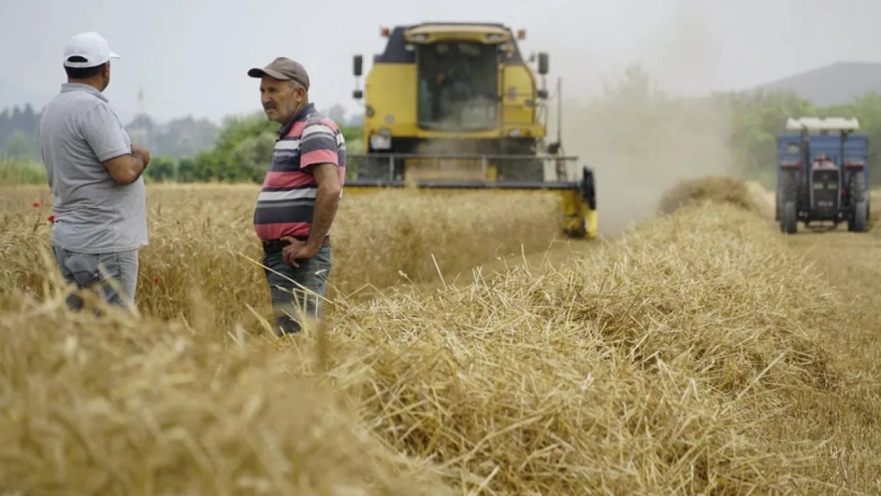 Trakya'da Çiftçiler Buğdayda Yüksek Verim İçin İlkbahar Yağışlarını Bekliyor