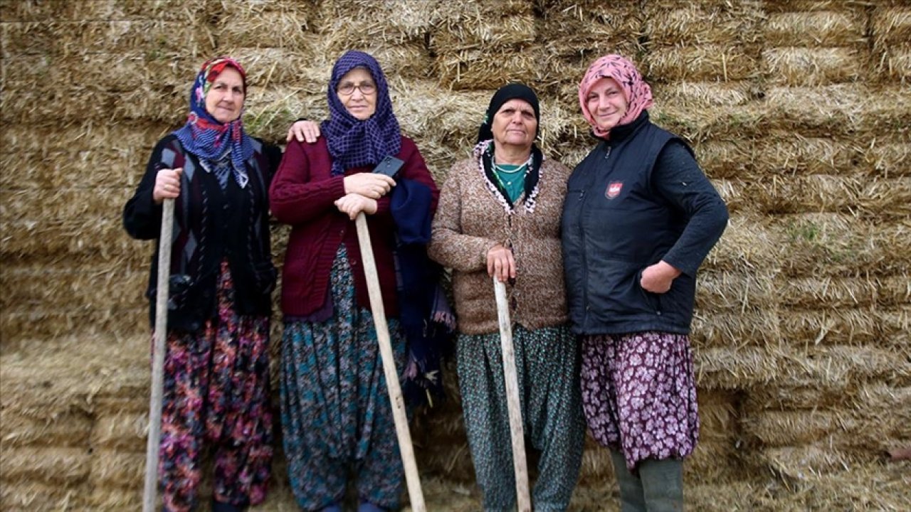 Kırklareli'nde Kadınlar Tarım Hayvancılıkla Uğraşarak Üretime Katkı Sunuyor