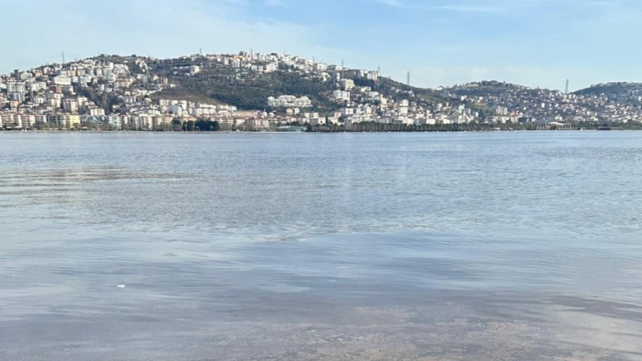 İzmit Körfezi'ndeki Renk Değişimi: Alg Çoğalması!