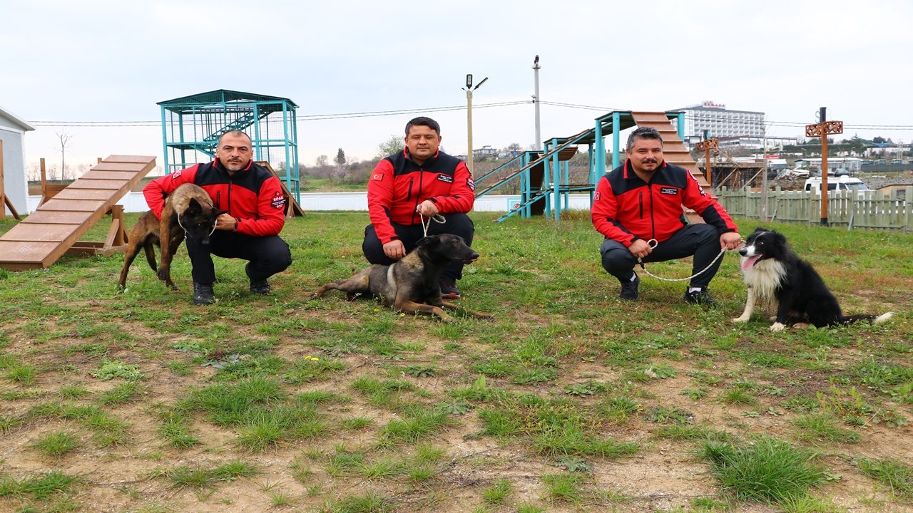 Tekirdağ'da Arama Kurtarma Köpekleri Afetlere Hazırlanıyor