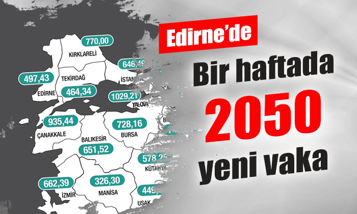 Edirne'de 2 bin 050 vaka tespit edildi
