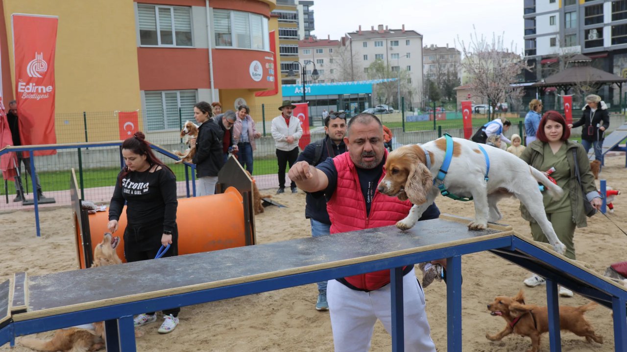 Edirne'de Pati Park Hizmete Girdi
