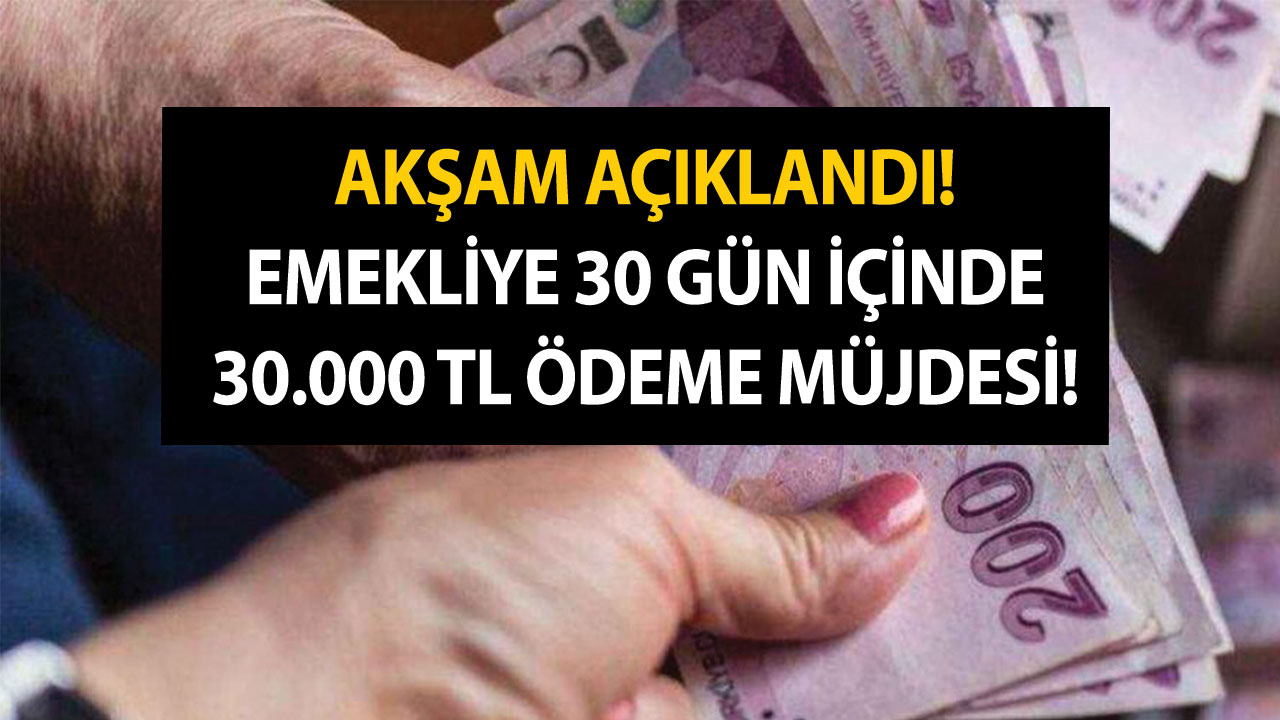 Akşam açıklandı! Emekliye 30 gün içinde 30.000 TL ödeme müjdesi!