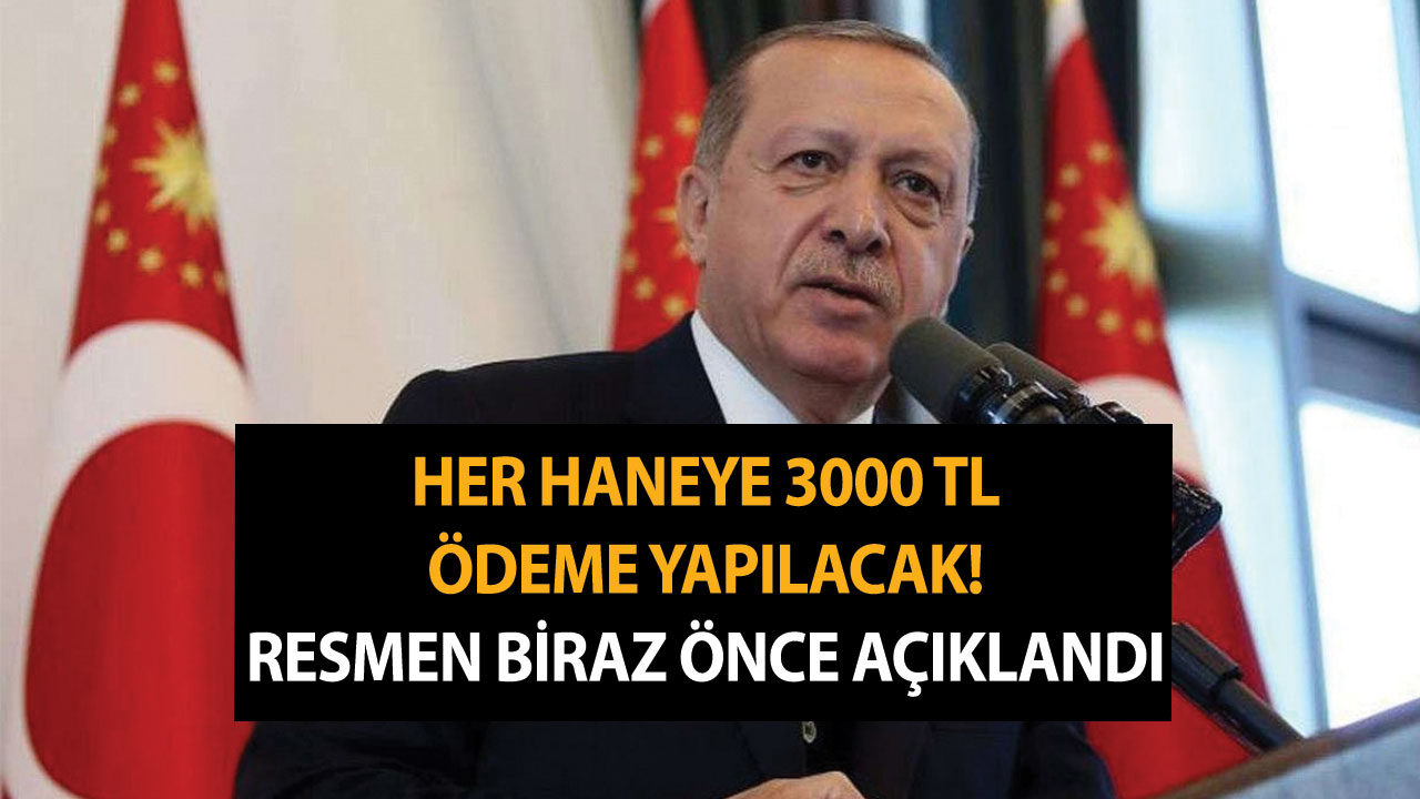 Her haneye 3000 TL ödeme yapılacak! Resmen biraz önce açıklandı