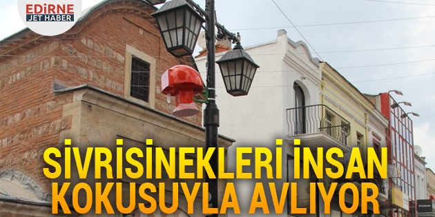 Sivrisinekleri İnsan Kokusuyla Avlıyor