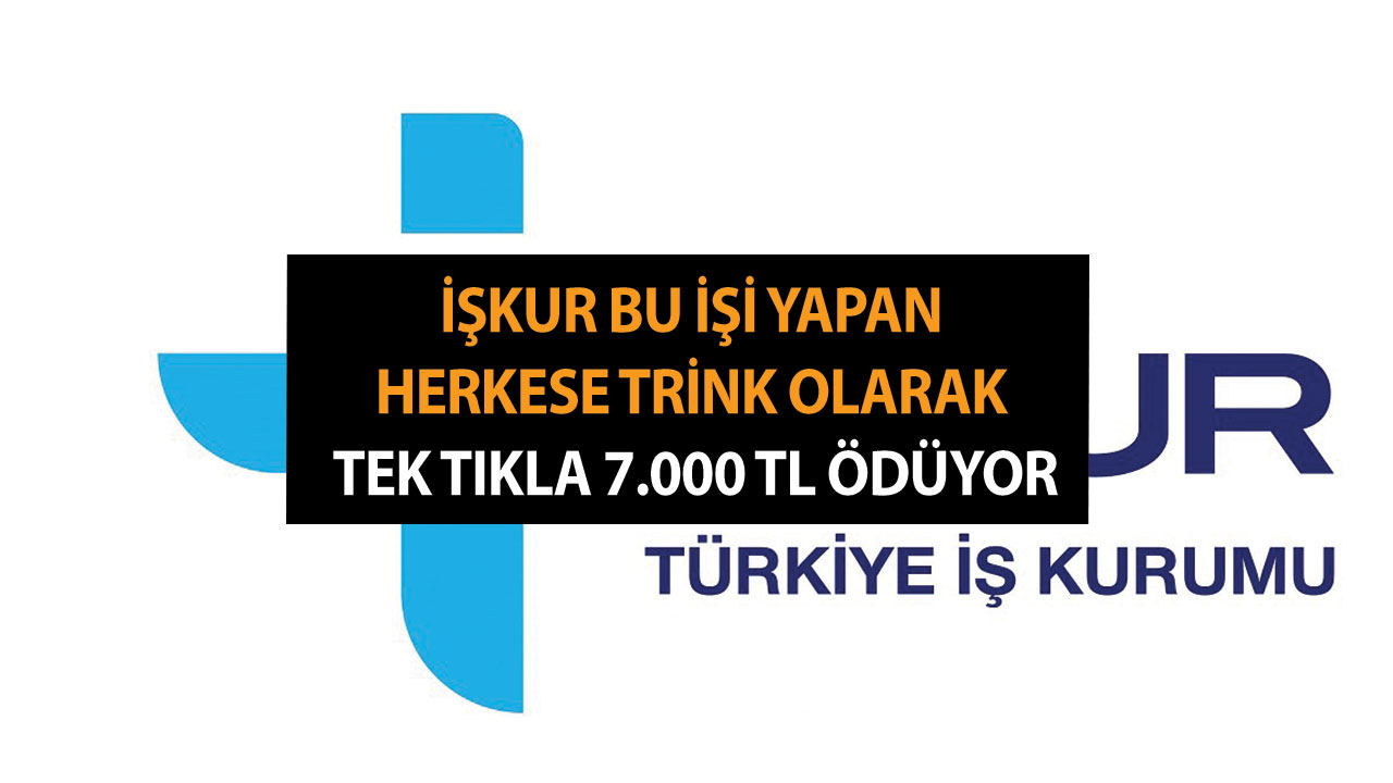 İŞKUR bu işi yapan herkese trink olarak tek tıkla 7.000 TL ödüyor