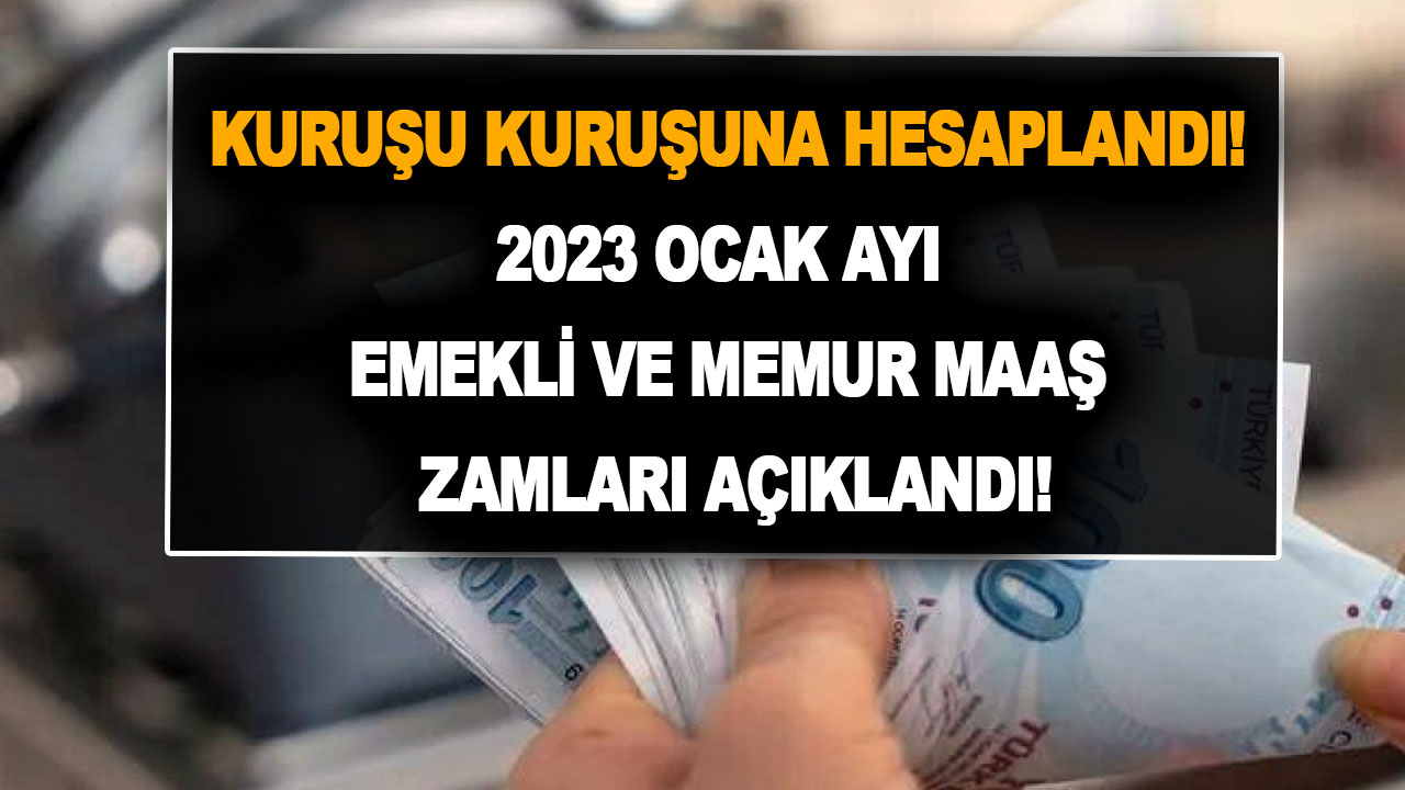 Kuruşu kuruşuna hesap yapılarak 2023 Ocak ayı emekli ve memur maaş zamları açıklandı