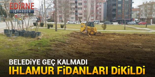 Hukuksuz Temel Kaldırıldı, Ihlamur Fidanları Dikildi