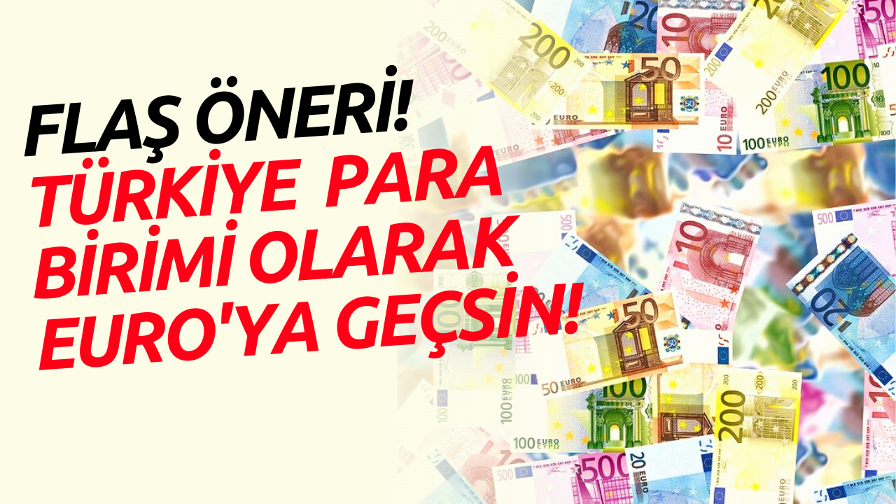 Türkiye Para Birimi Olarak Euro'ya Geçsin Önerisi Sosyal Medyanın Gündeminde!