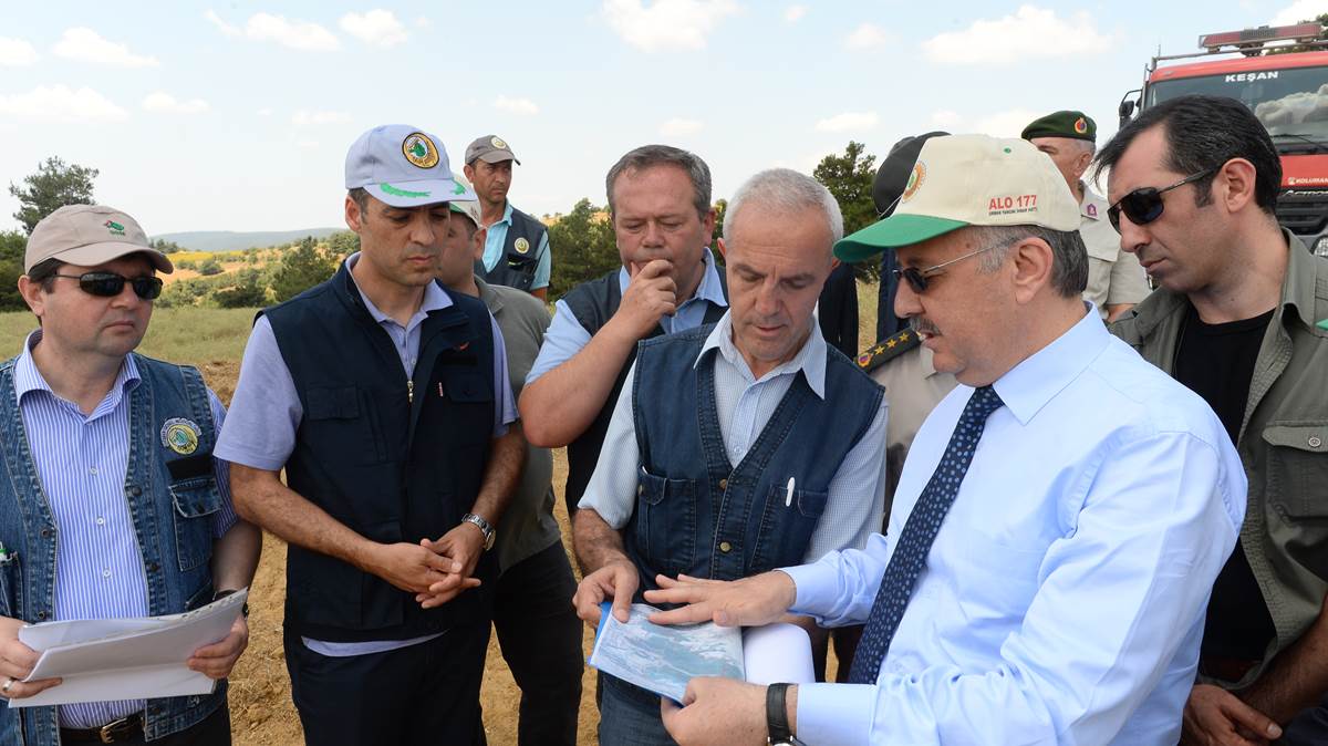 Vali Özdemir: Yanan Ormanlık Alan Ağaçlandırılacak