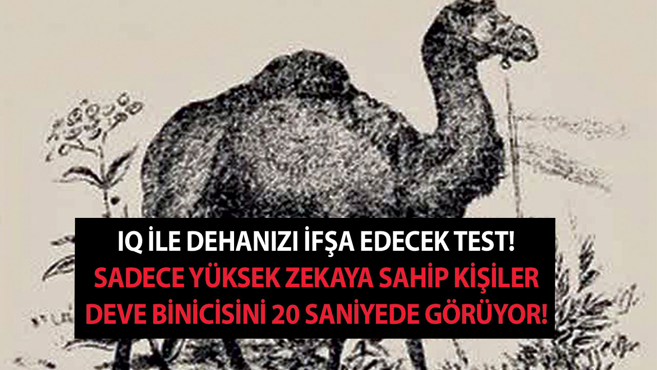 Cin gibi olanlar deve binicisini 20 saniyede görüyor! IQ ile dehanızı ifşa edecek test!