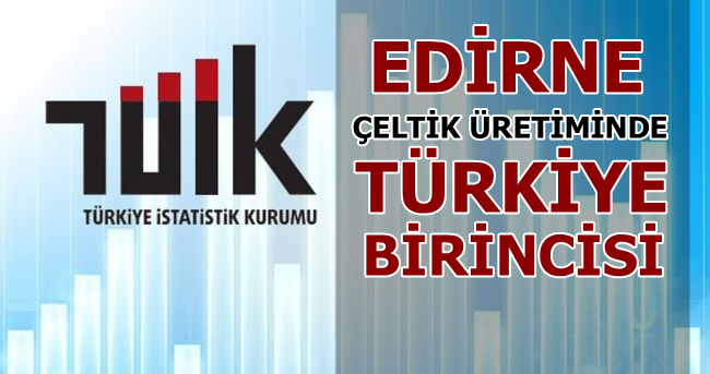 Edirne Çeltik Üretiminde Türkiye Birincisi