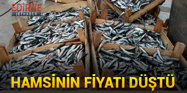 Hamsinin Fiyatı Düştü