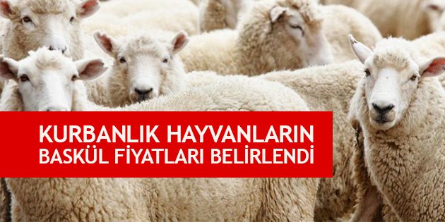 Kurbanlık Hayvanların Baskül Fiyatları Belirlendi