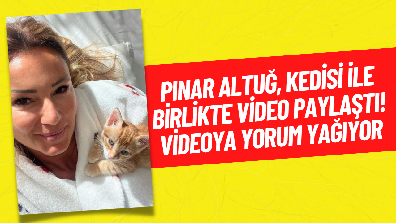 Pınar Altuğ Kedisiyle Olan Eğlenceli Anlarını Paylaştı
