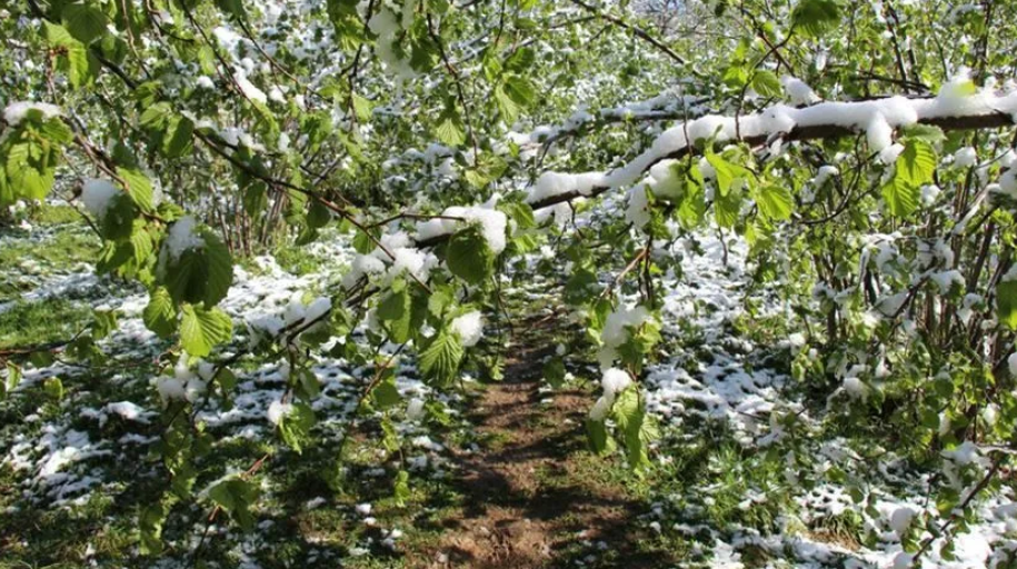 Bu İllerde Yaşayanlar Dikkat! Meteoroloji'den Kuvvetli Yağış ve Kar Yağışı Uyarısı Geldi