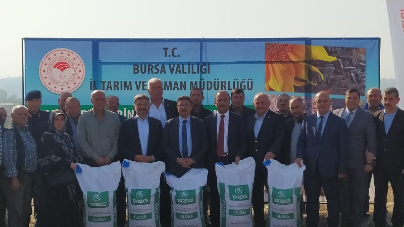 Mudanya'da Çiftçilere 40 Ton Buğday Tohumu Veriliyor