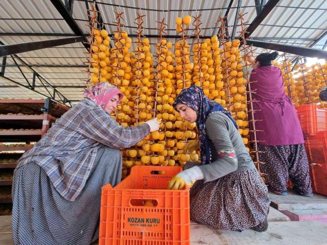 Hem Faydalı Hem Pahalı! Kilosu 150 TL’den Alıcı Buluyor