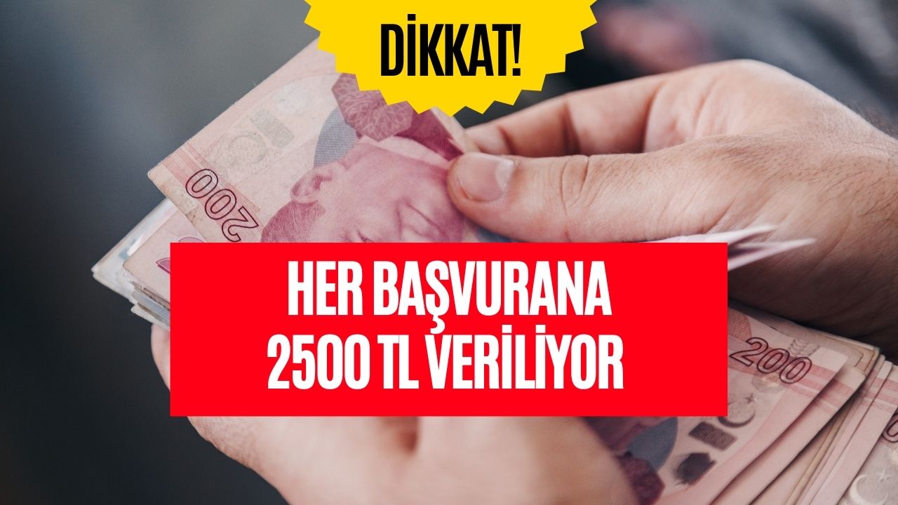 Devlet Müjdeyi Verdi! Her Başvurana 2500 TL Veriliyor