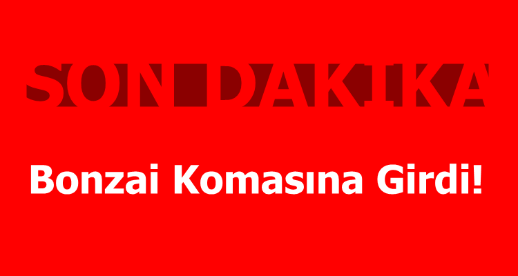 Bonzai Komasına Girdi!