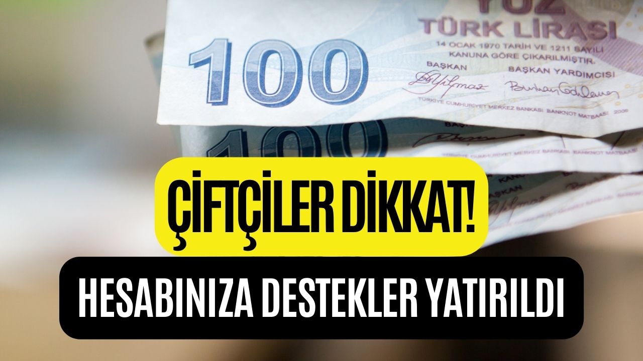 Ev Alacaklar Dikkat! Ev Fiyatları Düşüyor Mu?