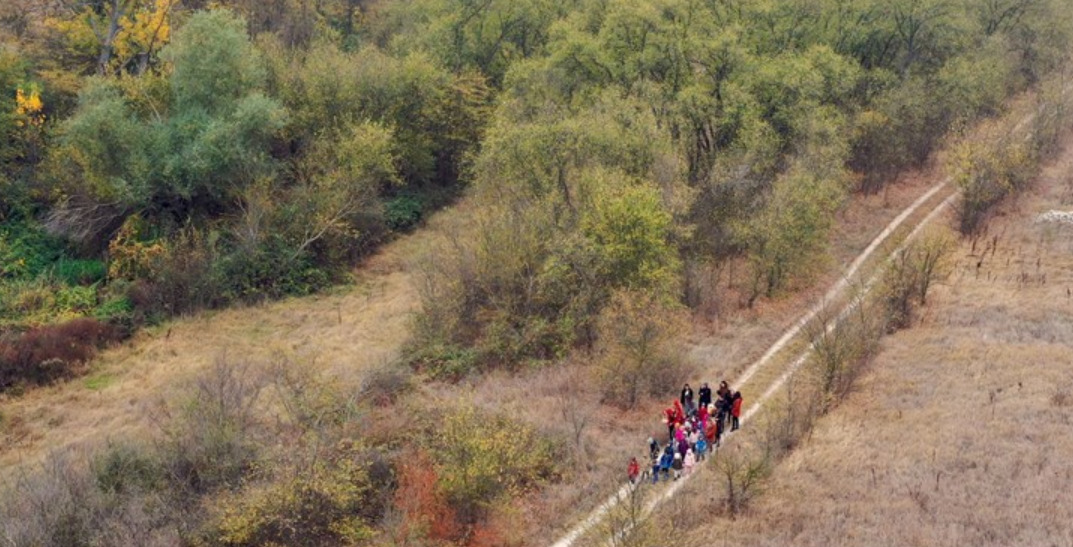 Edirne'de Balkan Arboretumu Ziyaretçilerini Ağırlıyor